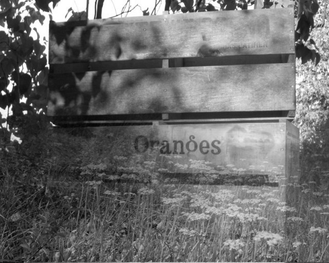 finneysorangecratebw